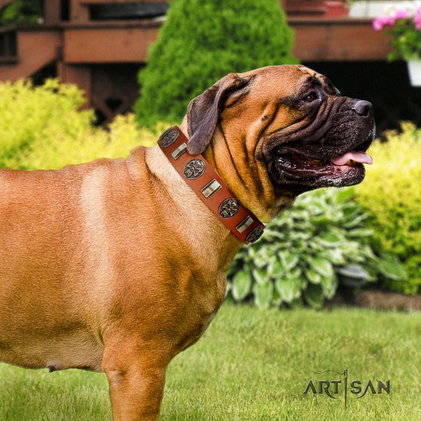 Bullmastiff everyday use full grain leather collar with adornments for your pet