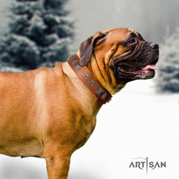 Bullmastiff incredible full grain leather collar with embellishments for your dog