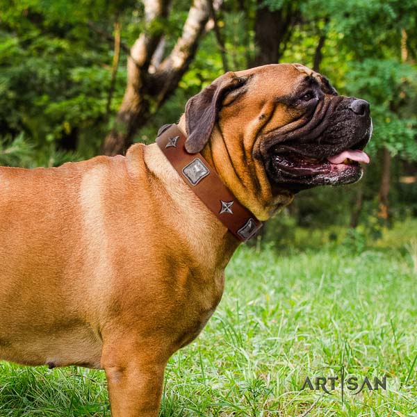 Bullmastiff inimitable full grain natural leather collar with studs for your doggie