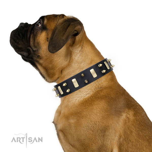 Bullmastiff unusual genuine leather dog collar for everyday use