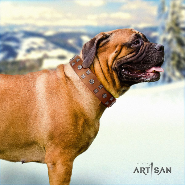 Bullmastiff handmade natural genuine leather collar with studs for your dog