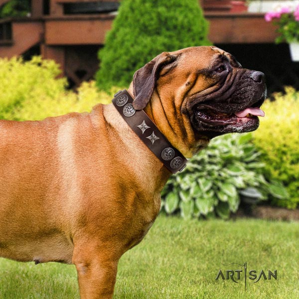 Bullmastiff handcrafted natural genuine leather collar with studs for your doggie