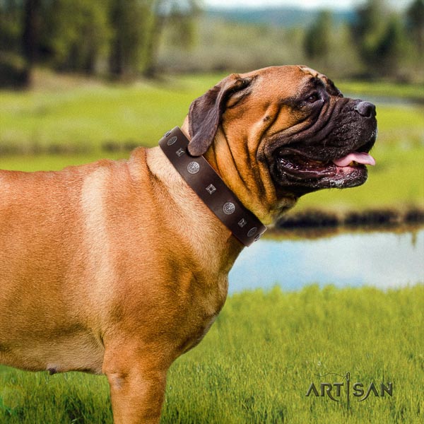 Bullmastiff fine quality full grain natural leather collar with embellishments for your dog