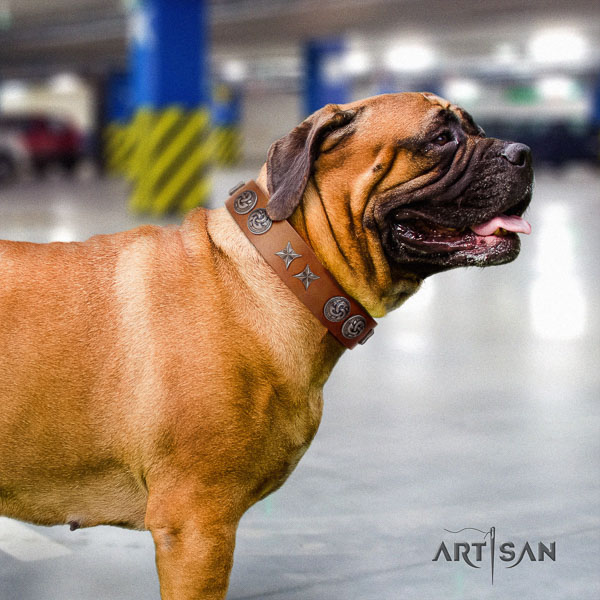 Bullmastiff easy to adjust full grain natural leather collar with adornments for your dog