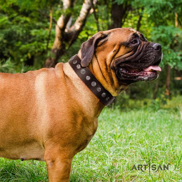Bullmastiff handcrafted genuine leather collar with studs for your doggie