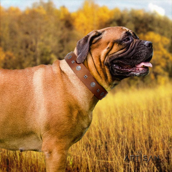 Bullmastiff unusual full grain natural leather collar with embellishments for your pet