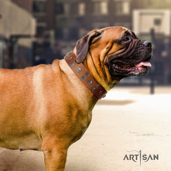 Bullmastiff adjustable full grain natural leather collar with adornments for your dog