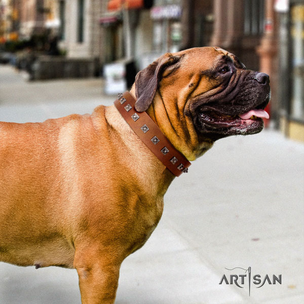 Bullmastiff stylish design natural genuine leather collar with decorations for your four-legged friend