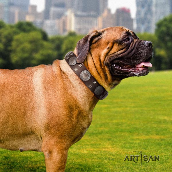 Bullmastiff unique natural genuine leather collar with embellishments for your canine