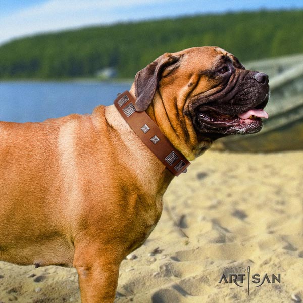 Bullmastiff remarkable full grain leather collar with studs for your dog