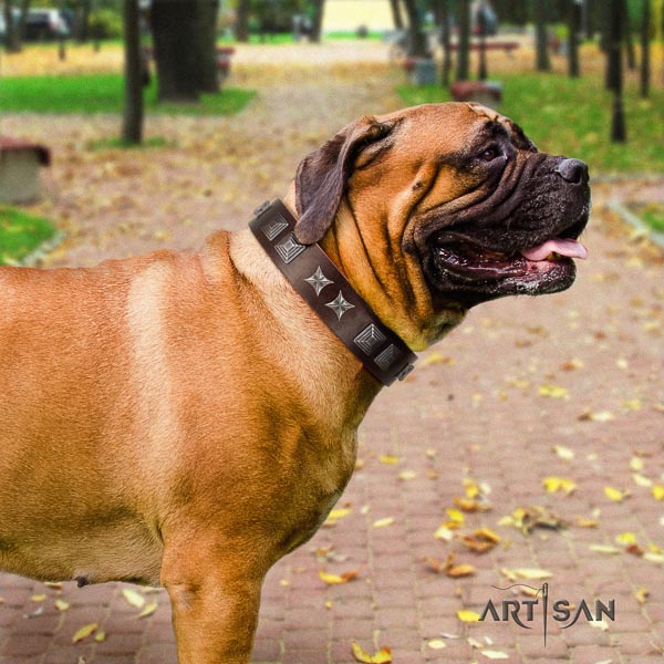 Bullmastiff exceptional natural genuine leather collar with decorations for your pet