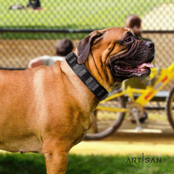 Bullmastiff easy wearing full grain genuine leather collar with adornments for your canine
