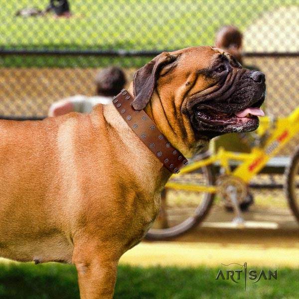 Bullmastiff top notch full grain natural leather collar with studs for your four-legged friend