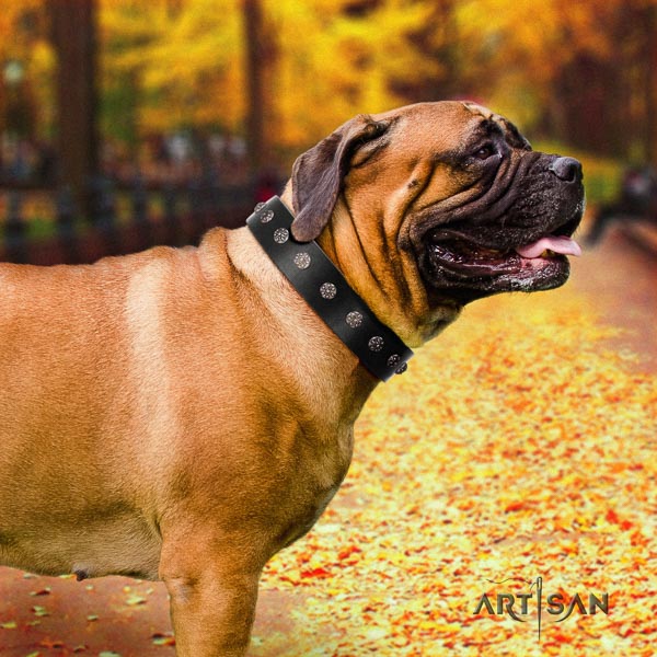 Bullmastiff convenient natural genuine leather collar with embellishments for your canine