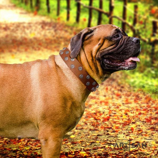 Bullmastiff trendy full grain natural leather collar with embellishments for your dog