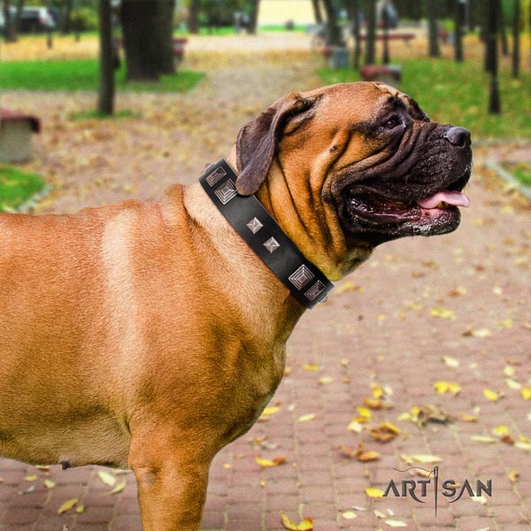 Bullmastiff full grain natural leather dog collar with embellishments for your attractive pet