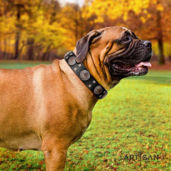 Bullmastiff incredible full grain genuine leather collar with adornments for your pet