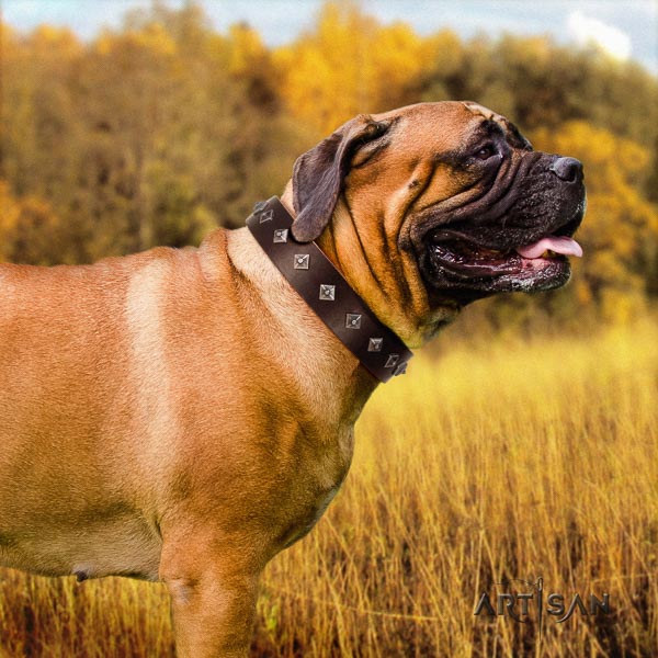 Bullmastiff fashionable natural genuine leather collar with decorations for your dog