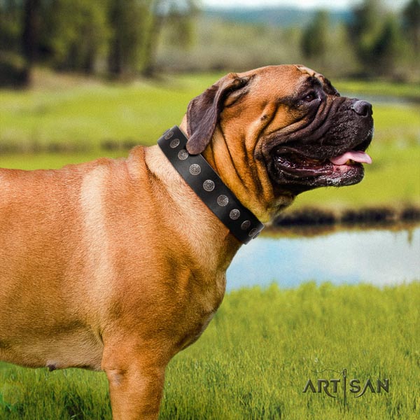 Bullmastiff extraordinary leather collar with embellishments for your four-legged friend