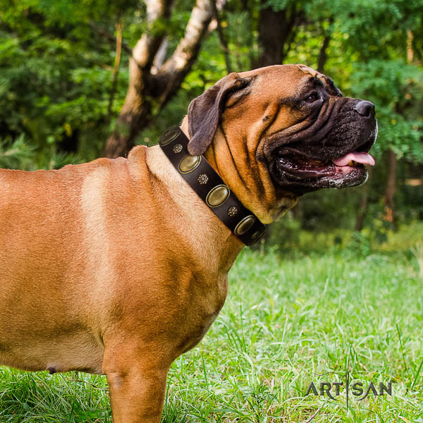 Bullmastiff daily use leather collar with decorations for your dog