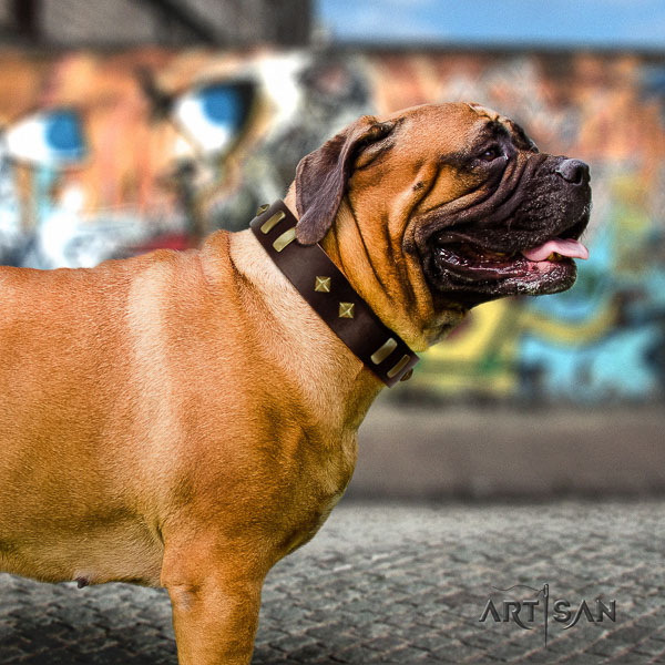 Bullmastiff comfortable wearing genuine leather collar with decorations for your dog