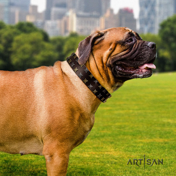 Bullmastiff daily use leather collar with studs for your four-legged friend