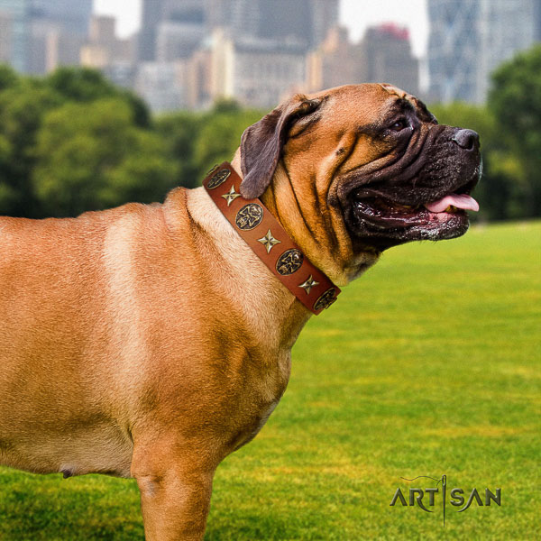 Bullmastiff handy use full grain genuine leather collar with embellishments for your canine