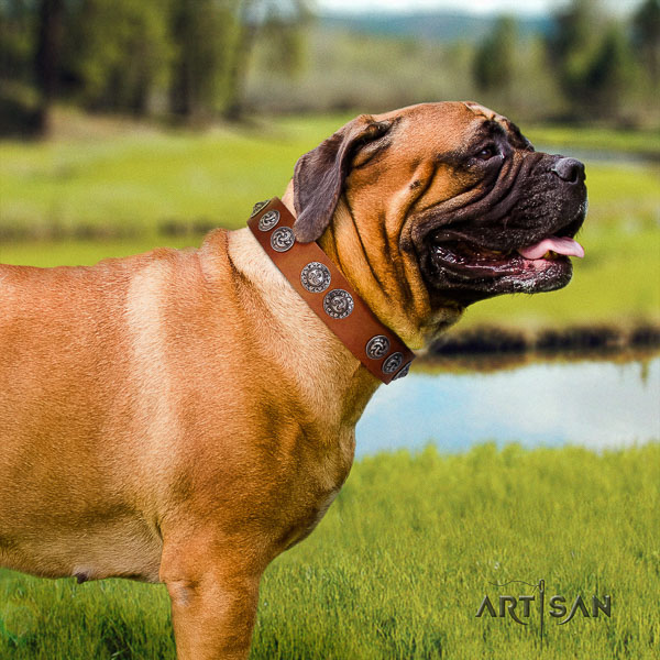 Bullmastiff stylish design full grain leather dog collar with decorations for handy use