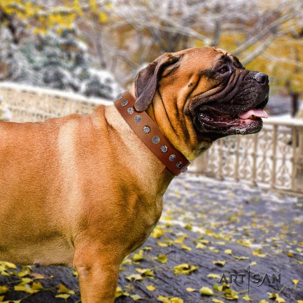 Bullmastiff best quality natural genuine leather collar with decorations for your dog