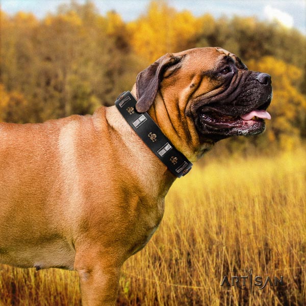 Bullmastiff awesome natural genuine leather collar with adornments for your dog