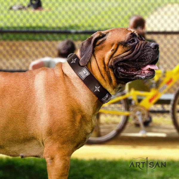 Bullmastiff impressive leather collar with decorations for your four-legged friend