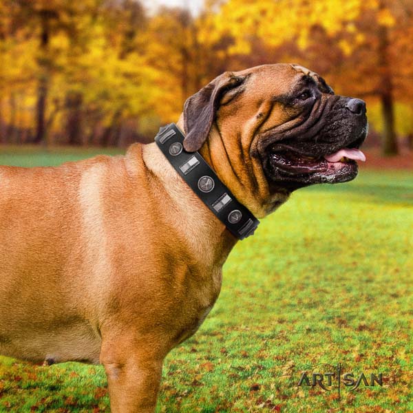 Bullmastiff comfortable full grain genuine leather collar with adornments for your pet