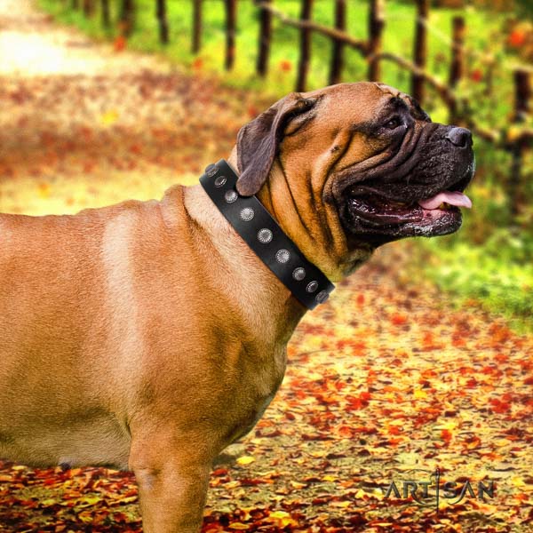 Bullmastiff exquisite full grain natural leather collar with decorations for your pet