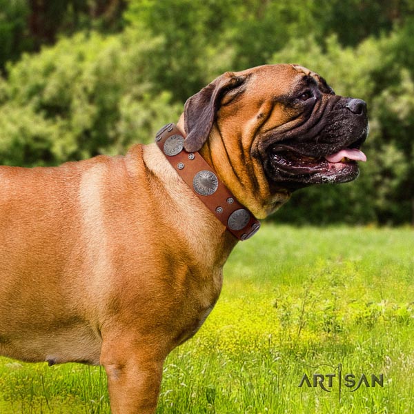 Bullmastiff fashionable leather collar with decorations for your four-legged friend