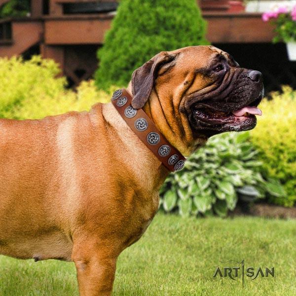 Bullmastiff fine quality natural genuine leather collar with decorations for your dog