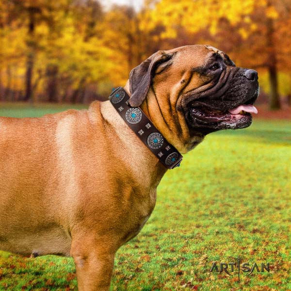 Bullmastiff fashionable full grain natural leather collar with decorations for your dog