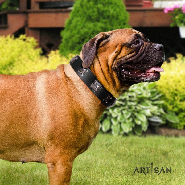 Bullmastiff full grain natural leather dog collar with decorations for your stylish four-legged friend