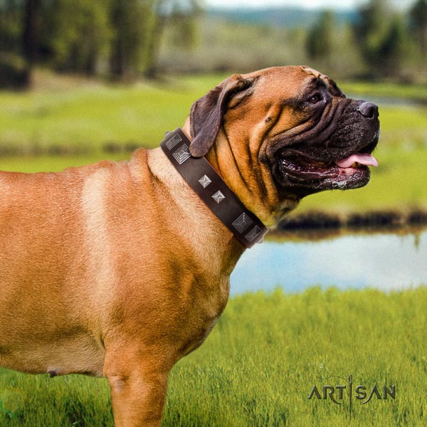 Bullmastiff stylish design leather collar with decorations for your dog