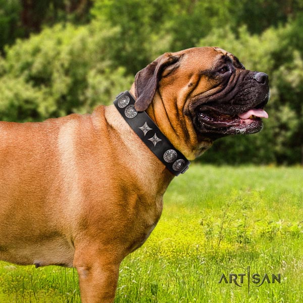 Bullmastiff handmade natural genuine leather collar with adornments for your four-legged friend