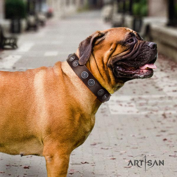 Bullmastiff easy adjustable full grain leather collar with studs for your canine