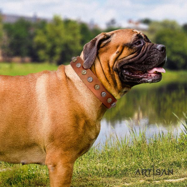 Bullmastiff impressive full grain leather collar with studs for your canine