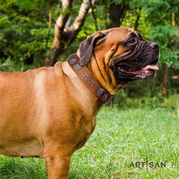 Bullmastiff amazing full grain leather collar with studs for your canine