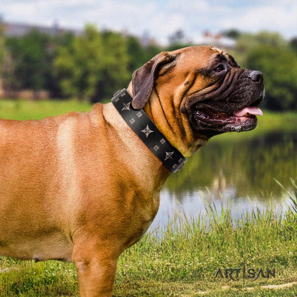 Bullmastiff easy to adjust natural genuine leather collar with adornments for your four-legged friend