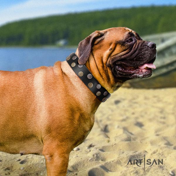 Bullmastiff handmade full grain genuine leather collar with adornments for your doggie