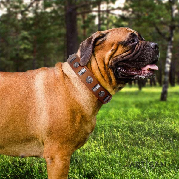 Bullmastiff easy to adjust natural genuine leather collar with studs for your canine