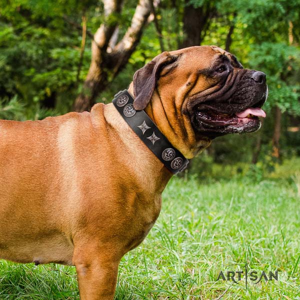 Bullmastiff incredible full grain leather collar with adornments for your doggie