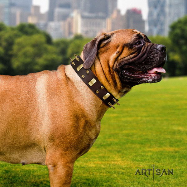 Bullmastiff daily use dog collar of flexible genuine leather