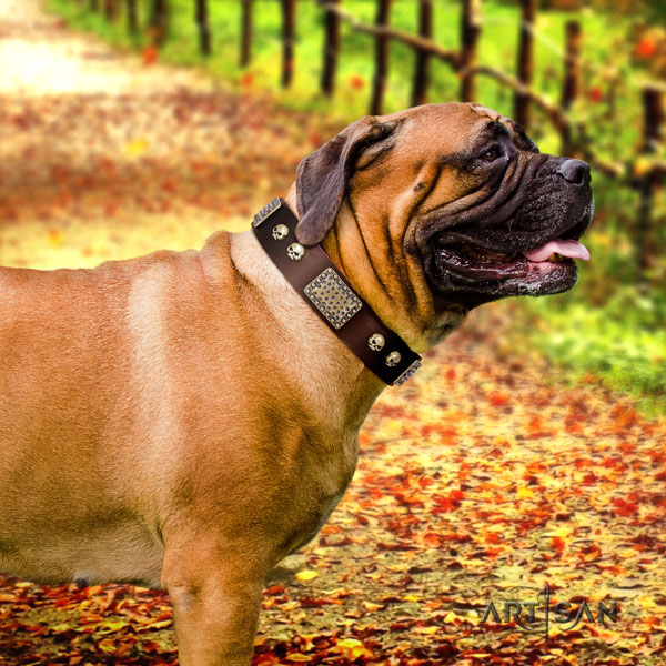 Bullmastiff comfy wearing dog collar of soft natural leather