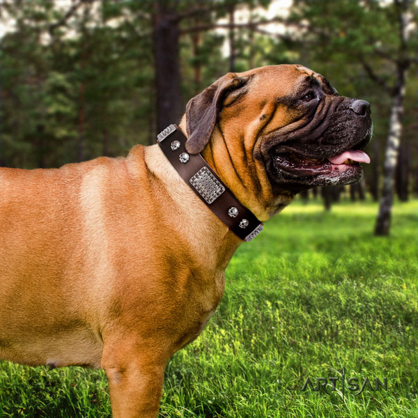 Bullmastiff easy wearing dog collar of extraordinary quality leather