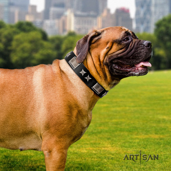 Bullmastiff dog collar of significant quality leather for comfy wearing